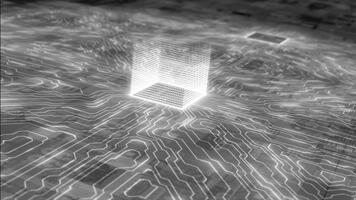 White and Black 3d circuit board data moving CPU modern hi-tech artificial intelligence digital loop able technology background video