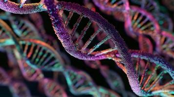 makro skott visas närbild se av dna dubbel- helix strukturera, med sammanflätade strängar markerad i blå och orange toner, uppsättning mot mörk suddig bakgrund. video