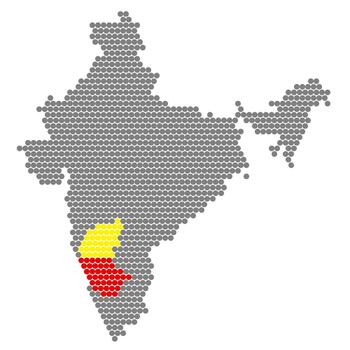 Map of India with the flag of the country in honeycomb pattern vector
