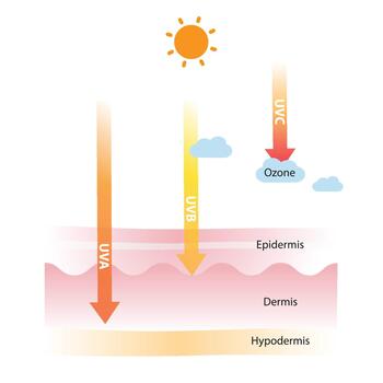 The different of UV rays types and absorption illustration. UVC are blocked by the ozone layer, UVB and UVA rays penetrate into the skin layer resulting in sunburn, aging, wrinkle, dark spots. vector