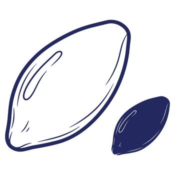 detallado mano dibujado ilustración de linaza semillas con diferente tamaños y sencillo sombreado tecnicas en llanura blanco superficie vector