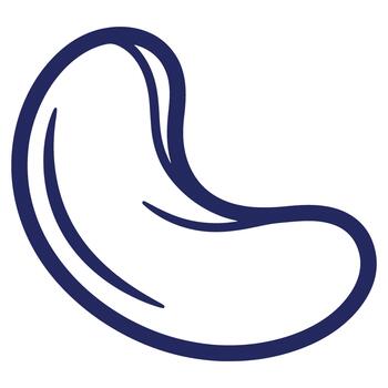 elegante minimalista ilustración de un anacardo nuez exhibiendo sus único frijol forma y suave textura para comida relacionado proyectos vector