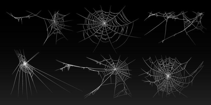 Víspera de Todos los Santos antiguo escalofriante telaraña con varios tamaños y forma colocar. vector