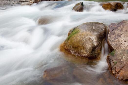 Detail of stones and river. river and vegetation photo