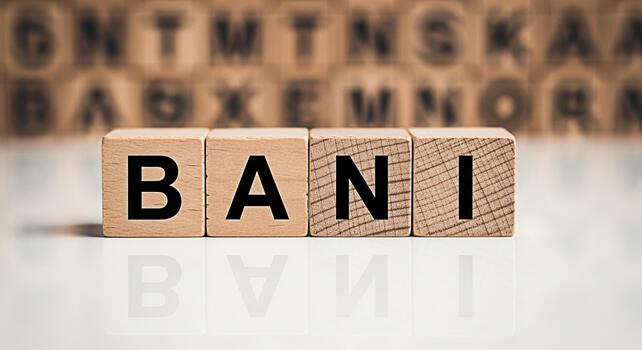 Wooden blocks spelling out BANI on a reflective surface conveying a sense of simplicity and focus in a learning environment ideal for educational materials and language development resources photo