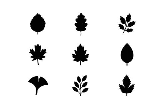 Minimalist Autumn Vibes Icon Pack with Ginkgo and Maple Elements vector