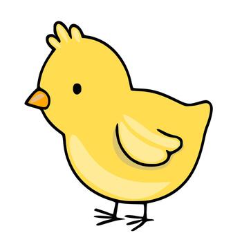 Adorable yellow chick character, simple illustration with bold outlines and soft shading, perfect for springtime or Easter themes. vector