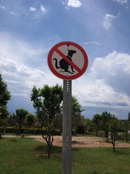 No dogs allowed sign against cloudy sky in a public park. Regulation, responsibility, and the visual language of shared spaces. photo