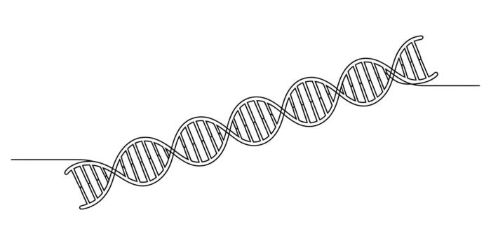 Continuous line drawing of dna double helix structure biology vector