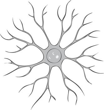 A drawing of a neuron with its branches vector