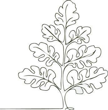 Minimalist single line drawing of a stylized oak tree with lobed leaves and a delicate trunk vector