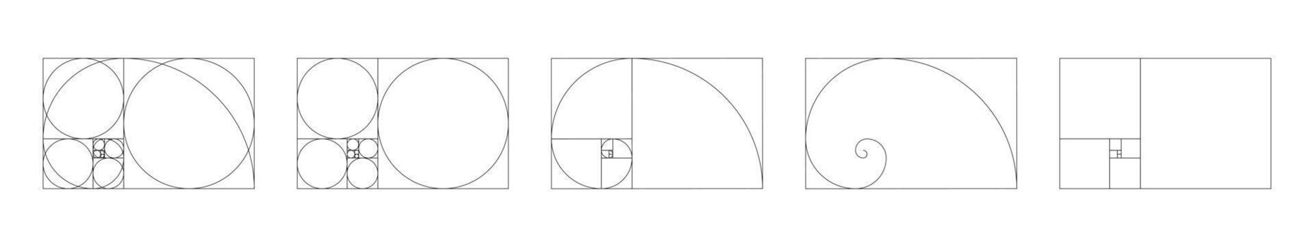 Template of horizontal golden ratio harmony proportions. Fibonacci numbers, array set. vector