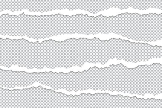 Four lengthy lengths of shredded paper serve as a clear backdrop for the isolated ripped paper edges. vector