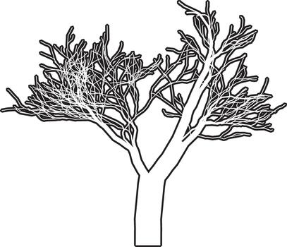 Bare tree silhouette with intricate branches for artistic autumn design vector