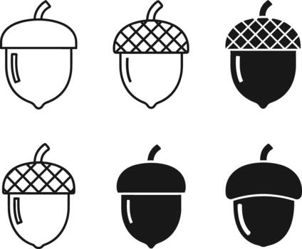 A study in acorn forms simple graphic representations vector