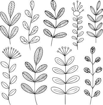 HandDrawn Botanical Leaf and Branch Elements Collection design vector