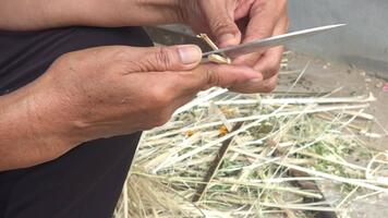närbild av händer skickligt träsnideri en skarp kniv in i naturlig material på en rustik arbete yta video