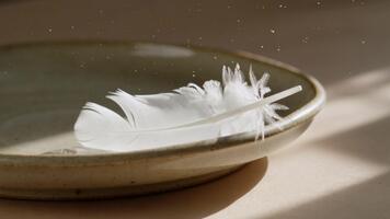 Gentle feather drifts softly across a rustic bowl, illuminated by warm light with floating dust motes, creating a serene and calming atmosphere video