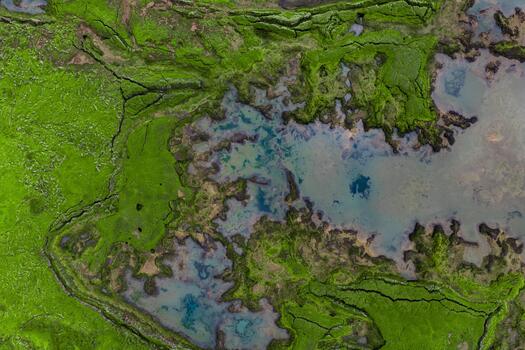 Aerial view of moss covered wetlands and shallow mineral pools in Iceland near Landmannalaugar, with fissures and rivulets under soft daylight creating organic patterns. photo