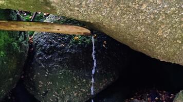calmante solta padronizar em molhado Rocha superfície, sereno e rítmico água gotejar em cascata sobre úmido pedras dentro tranquilo video