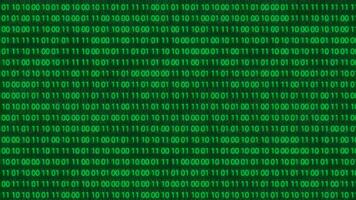 matris grön binär koda strömning glöd animering med digital data strömma på svart bakgrund video