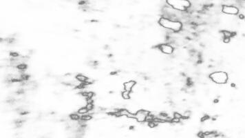 svart och vit ljud repa textur sluta rörelse animering slinga bakgrund video