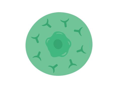 T Immune Cell illustration vector