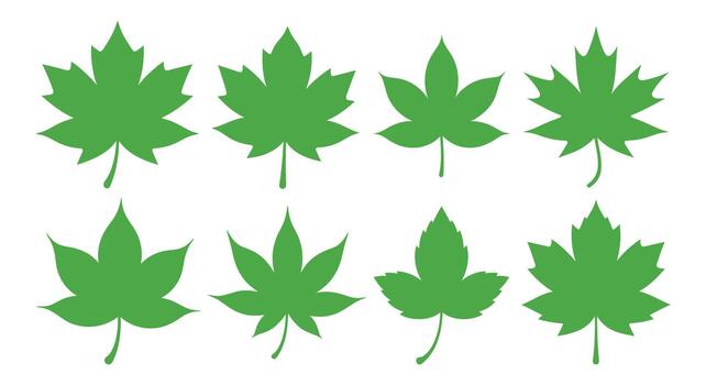 conjunto de diferente formas de arce hojas en verde color aislado en blanco antecedentes ilustración exactamente 120 caracteres vector