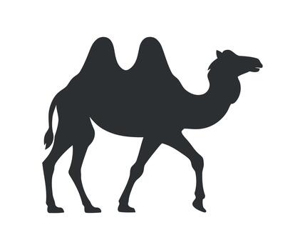 Camel silhouette walking image with clean and professional composition in high quality image in minimal design and isolated vector
