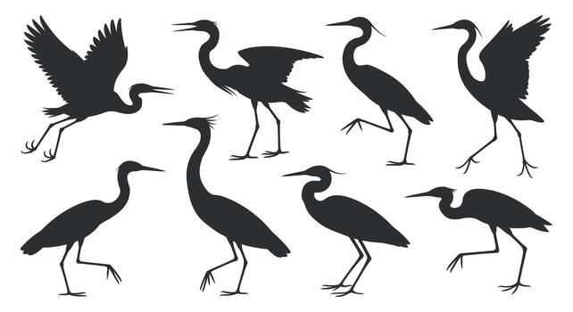 Collection of heron silhouette in walking and standing poses with open wings in dark color isolated on white background vector