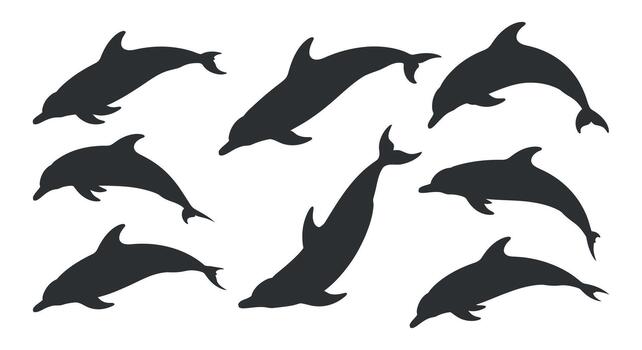 Silhouette of dolphin in various poses image with clean and professional composition in high quality, format and isolated vector