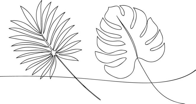 Two tropical leaves drawn with single continuous line vector