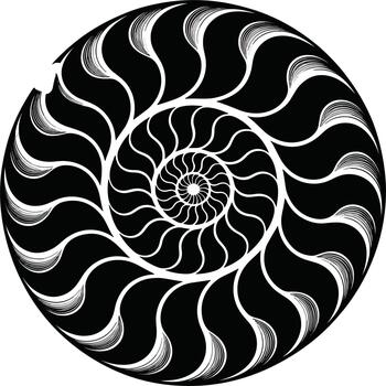 Black and white nautilus shell spiral pattern abstract design vector