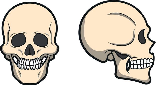 Creepy cartoon skull illustration for Halloween designs and spooky themed projects showing front view and side profile for graphic use vector