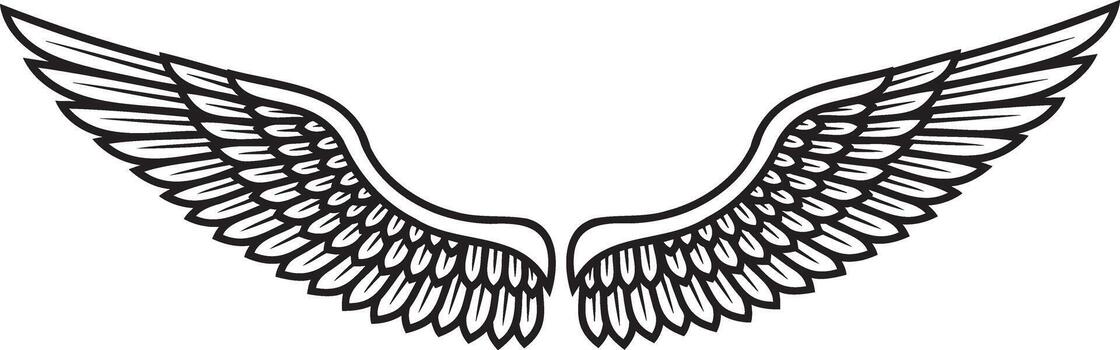 a detailed illustration of symmetrical wings spread wide showing intricate feather patterns and design elements high quality professional modern elegant stylish vector