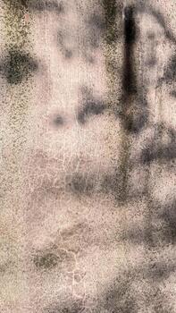 Soft sunlight and tree shadows on a textured concrete wall. Natural abstract background with light and shadow patterns, cracks, and weathered surface detail photo