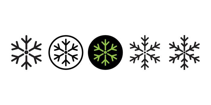 Set of Snowflake Icons for Freezing Cold Temperature and Winter Season Interface Design vector