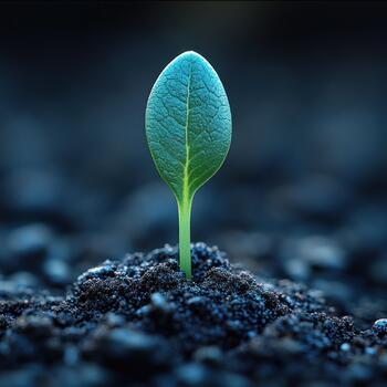 Fresh green sprout breaks through dark soil, representing growth and resilience in nature photo