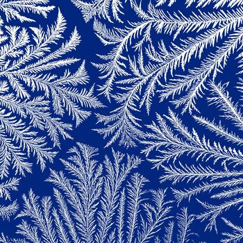 Winter frame with frosted patterns . White ice crystals design texture. vector