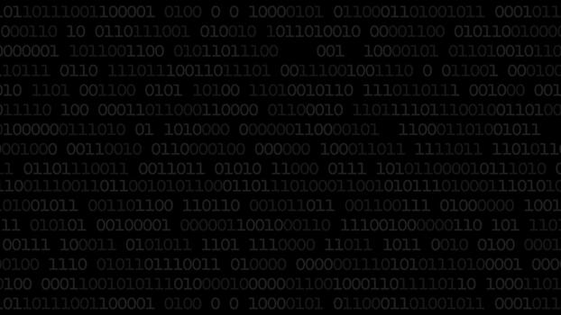 binario código modelo en negro digital antecedentes vector