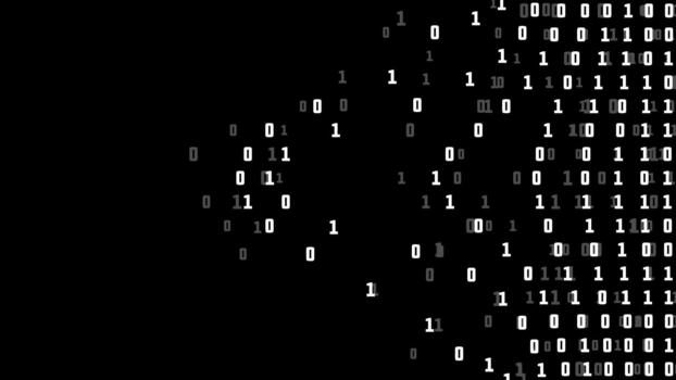 blanco binario código en negro digital antecedentes vector