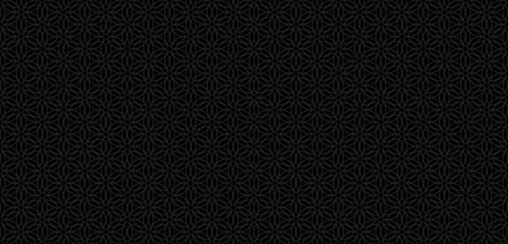 oscuro monocromo geométrico estrella modelo con resumen floral enrejado vector