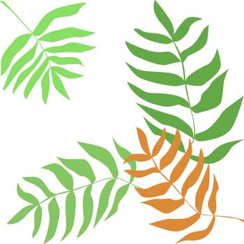 limpiar ilustración con verde hojas en un blanco antecedentes. para creando un logo, marca de productos ecológicos, como un elemento de embalaje diseño o decorativo impresión. sencillo y claro gráficos. vector