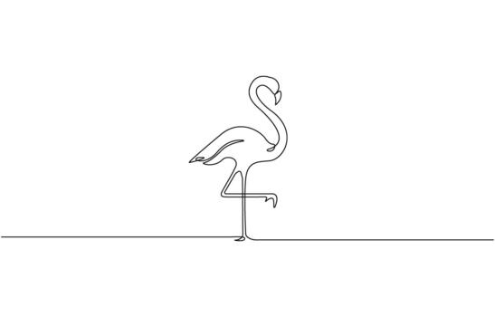 Continuous one line drawing of a flamingo standing Editable design. vector