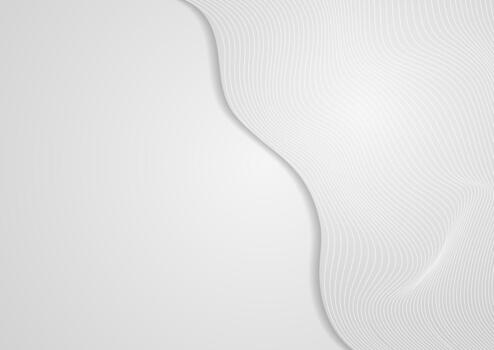 Abstract white grey curved linear waves minimal elegant background vector