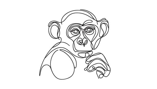 continuous line drawing of a monkey vector