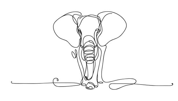 a continuous line drawing of an elephant in white background vector