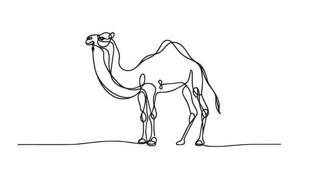 continuous line drawing of a camel vector