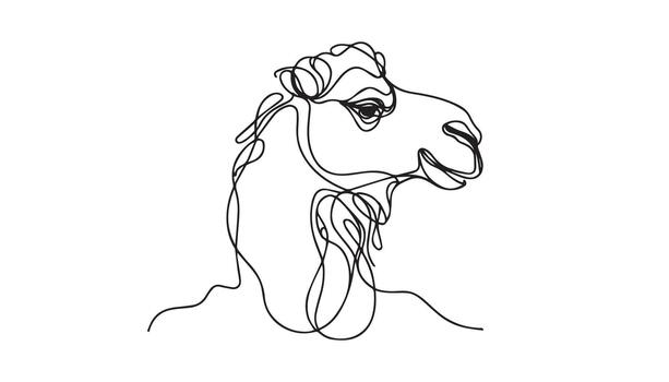 continuous line drawing of a camel head vector