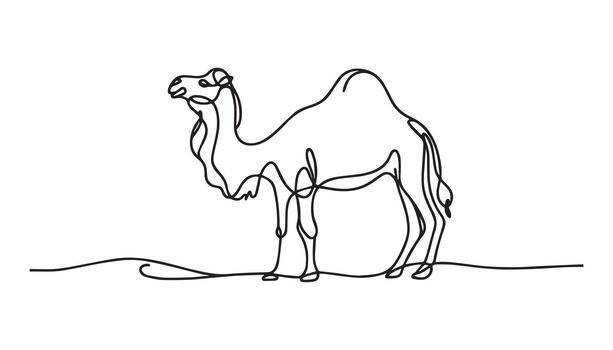 continuous line drawing of a camel in the desert vector
